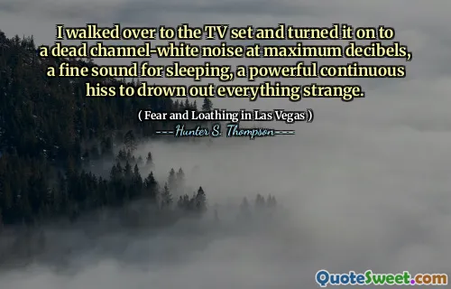 I walked over to the TV set and turned it on to a dead channel-white noise at maximum decibels, a fine sound for sleeping, a powerful continuous hiss to drown out everything strange.