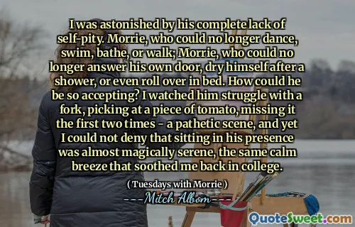 I was astonished by his complete lack of self-pity. Morrie, who could no longer dance, swim, bathe, or walk; Morrie, who could no longer answer his own door, dry himself after a shower, or even roll over in bed. How could he be so accepting? I watched him struggle with a fork, picking at a piece of tomato, missing it the first two times - a pathetic scene, and yet I could not deny that sitting in his presence was almost magically serene, the same calm breeze that soothed me back in college.