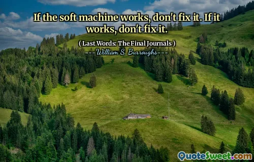 如果软机器有效，请不要修复它。如果有效，请不要修复它。