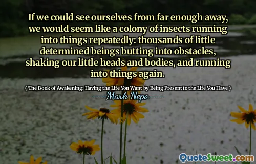 If we could see ourselves from far enough away, we would seem like a colony of insects running into things repeatedly: thousands of little determined beings butting into obstacles, shaking our little heads and bodies, and running into things again.