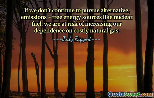 If we don't continue to pursue alternative, emissions - free energy sources like nuclear fuel, we are at risk of increasing our dependence on costly natural gas.