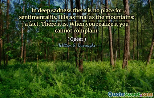 在深深的悲伤中，没有感性的地方。它和山一样最后：事实。在那里。当您意识到它时，您将无法抱怨。