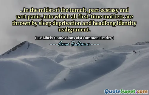 ...in the midst of the tumult, part ecstasy and part panic, into which all first-time mothers are thrown by sleep deprivation and headlong identity realignment.