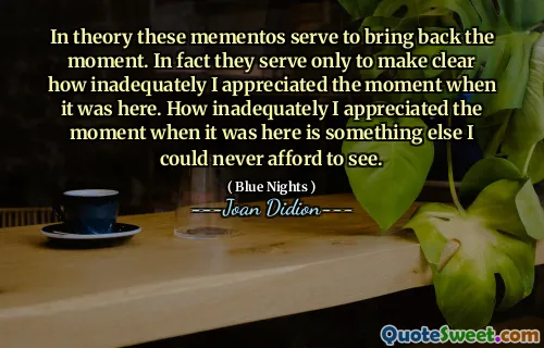 In theory these mementos serve to bring back the moment. In fact they serve only to make clear how inadequately I appreciated the moment when it was here. How inadequately I appreciated the moment when it was here is something else I could never afford to see.