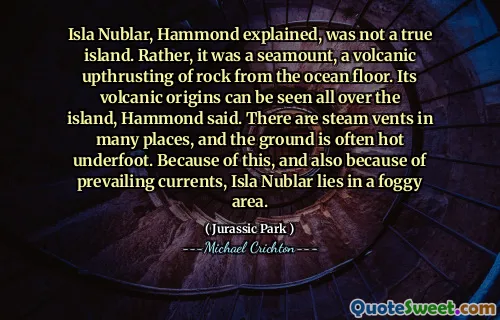 Hammond解释说，Isla Nublar不是一个真正的岛屿。相反，这是一个海底的海底，火山岩石从海地板上推动。哈蒙德说，它的火山起源可以在整个岛上看到。许多地方都有蒸汽通风口，地面通常是脚下的热。因此，由于流行的电流，Isla Nublar位于有雾的地区。