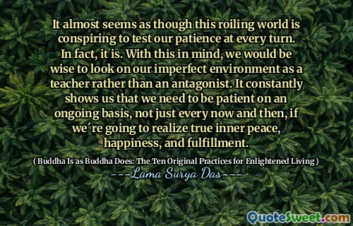 It almost seems as though this roiling world is conspiring to test our patience at every turn. In fact, it is. With this in mind, we would be wise to look on our imperfect environment as a teacher rather than an antagonist. It constantly shows us that we need to be patient on an ongoing basis, not just every now and then, if we´re going to realize true inner peace, happiness, and fulfillment.