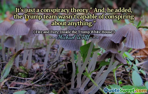 It's just a conspiracy theory." And, he added, the Trump team wasn't capable of conspiring about anything."