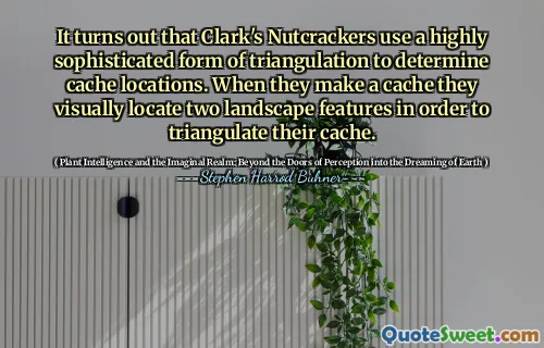 It turns out that Clark's Nutcrackers use a highly sophisticated form of triangulation to determine cache locations. When they make a cache they visually locate two landscape features in order to triangulate their cache.