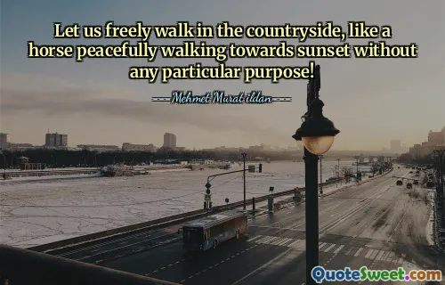 Let us freely walk in the countryside, like a horse peacefully walking towards sunset without any particular purpose!