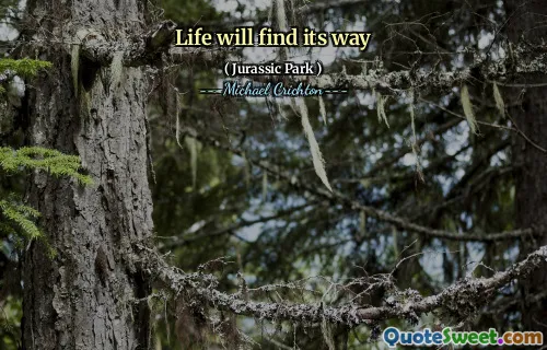 生活会找到自己的路