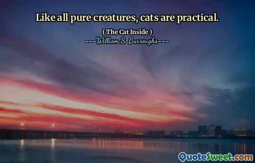 像所有纯粹的生物一样，猫也是实用的。