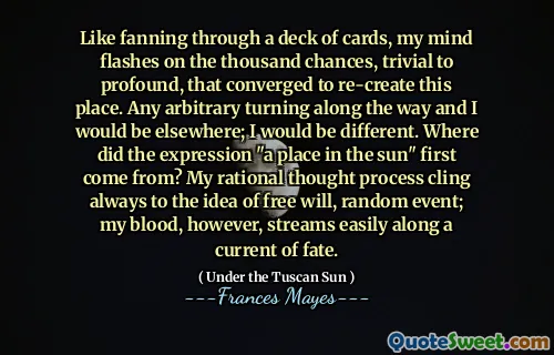 Like fanning through a deck of cards, my mind flashes on the thousand chances, trivial to profound, that converged to re-create this place. Any arbitrary turning along the way and I would be elsewhere; I would be different. Where did the expression "a place in the sun" first come from? My rational thought process cling always to the idea of free will, random event; my blood, however, streams easily along a current of fate.