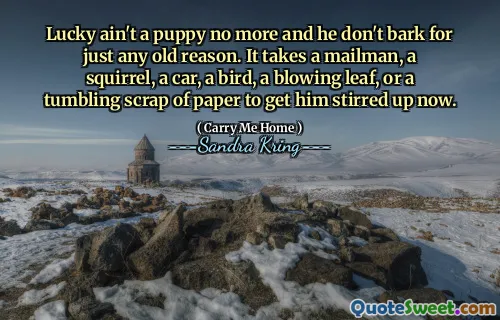 Lucky ain't a puppy no more and he don't bark for just any old reason. It takes a mailman, a squirrel, a car, a bird, a blowing leaf, or a tumbling scrap of paper to get him stirred up now.