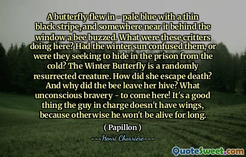 一只蝴蝶飞了进来——淡蓝色，带有细细的黑色条纹，窗户后面靠近蝴蝶的地方有一只蜜蜂在嗡嗡叫。这些小动物在这里做什么？是冬日的阳光迷惑了他们，还是他们想躲进监狱里避寒？冬蝶是一种随机复活的生物。她是如何逃脱死亡的呢？蜜蜂为什么离开她的蜂巢？来到这里是多么无意识的勇敢啊！幸好负责人没有翅膀，否则他活不了多久了。