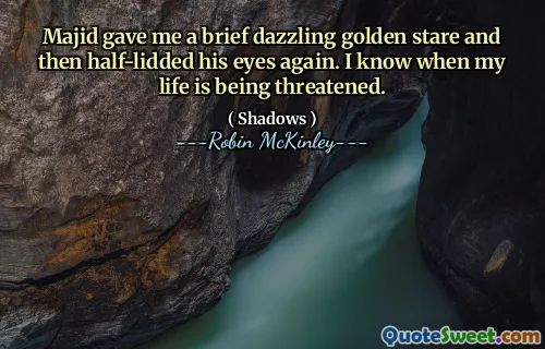 Majid gave me a brief dazzling golden stare and then half-lidded his eyes again. I know when my life is being threatened.