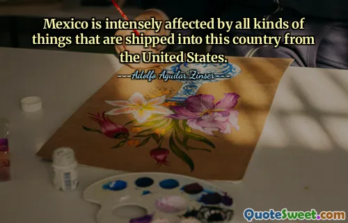 Mexico is intensely affected by all kinds of things that are shipped into this country from the United States.