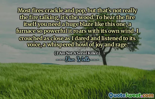 Most fires crackle and pop, but that's not really the fire talking, it's the wood. To hear the fire itself you need a huge blaze like this one, a furnace so powerful it roars with its own wind. I crouched as close as I dared and listened to its voice, a whispered howl of joy and rage.