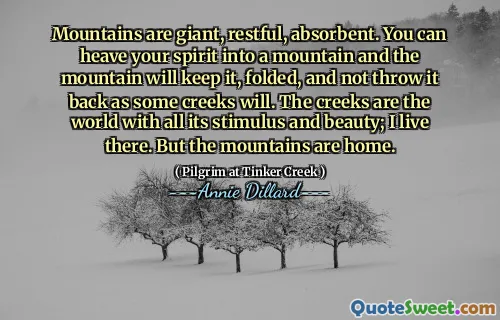Mountains are giant, restful, absorbent. You can heave your spirit into a mountain and the mountain will keep it, folded, and not throw it back as some creeks will. The creeks are the world with all its stimulus and beauty; I live there. But the mountains are home.