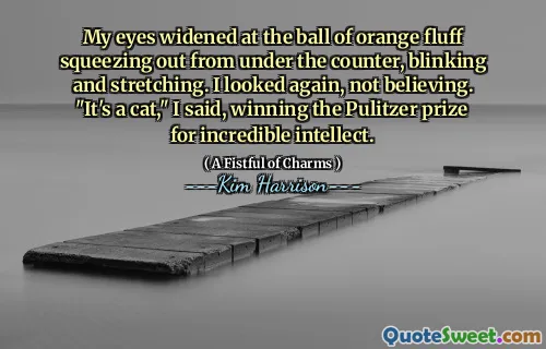 My eyes widened at the ball of orange fluff squeezing out from under the counter, blinking and stretching. I looked again, not believing. "It's a cat," I said, winning the Pulitzer prize for incredible intellect.