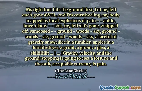My right foot hits the ground first, but my left one's gone AWOL, and I'm cartwheeling, my body mapped by local explosions of pain - - ankle, knee, elbow - - shit, my left ski's gone, whipped off, vamoosed - - ground - woods - sky, ground - woods - sky ground - woods - sky, a faceful of gravelly snow; dice in a tumbler; apples in a tumble dryer, a grunt, a groan, a plea, a shiiiiiiiiit ... { ... }Gravity, velocity, and the ground; stopping is going to cost a fortune and the only acceptable currency is pain.