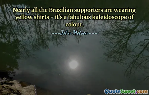 Nearly all the Brazilian supporters are wearing yellow shirts - it's a fabulous kaleidoscope of colour.