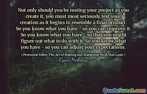 Not only should you be testing your project as you create it, you must most seriously test your creation as it begins to resemble a final product. So you know what you have - so you can improve it. So you know what you have - so that you might figure out what to do with it. So you know what you have - so you can adjust your expectations.