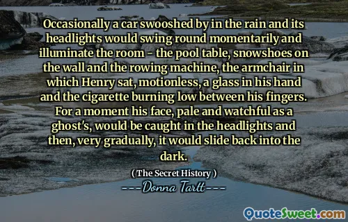 Occasionally a car swooshed by in the rain and its headlights would swing round momentarily and illuminate the room - the pool table, snowshoes on the wall and the rowing machine, the armchair in which Henry sat, motionless, a glass in his hand and the cigarette burning low between his fingers. For a moment his face, pale and watchful as a ghost's, would be caught in the headlights and then, very gradually, it would slide back into the dark.