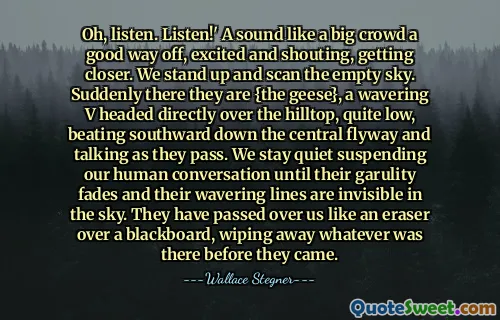 Oh, listen. Listen!' A sound like a big crowd a good way off, excited and shouting, getting closer. We stand up and scan the empty sky. Suddenly there they are {the geese}, a wavering V headed directly over the hilltop, quite low, beating southward down the central flyway and talking as they pass. We stay quiet suspending our human conversation until their garulity fades and their wavering lines are invisible in the sky. They have passed over us like an eraser over a blackboard, wiping away whatever was there before they came.