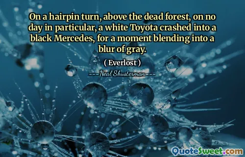On a hairpin turn, above the dead forest, on no day in particular, a white Toyota crashed into a black Mercedes, for a moment blending into a blur of gray.