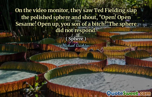 在视频监视器上，他们看到泰德·菲尔丁（Ted Fielding）拍打着抛光的球体，喊道：“打开！芝麻！打开，你是bit子的儿子！”球体没有回应。