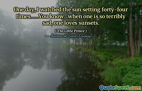 One day, I watched the sun setting forty-four times......You know...when one is so terribly sad, one loves sunsets.