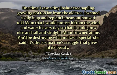 One time I saw a tiny Joshua tree sapling growing not too far from the old tree. I wanted to dig it up and replant it near our house. I told Mom that I would protect it from the wind and water it every day so that it could grow nice and tall and straight. Mom frowned at me. You'd be destroying what makes it special, she said. It's the Joshua tree's struggle that gives it its beauty.