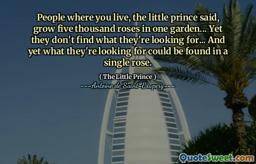 People where you live, the little prince said, grow five thousand roses in one garden... Yet they don't find what they're looking for... And yet what they're looking for could be found in a single rose.