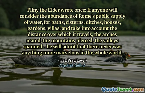Pliny the Elder wrote once: If anyone will consider the abundance of Rome's public supply of water, for baths, cisterns, ditches, houses, gardens, villas; and take into account the distance over which it travels, the arches reared, the mountains pierced, the valleys spanned - he will admit that there never was anything more marvelous in the whole world.