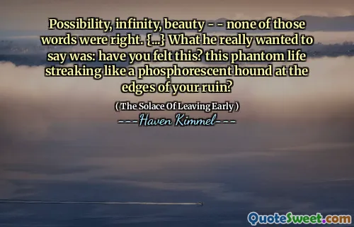 Possibility, infinity, beauty - - none of those words were right. {...} What he really wanted to say was: have you felt this? this phantom life streaking like a phosphorescent hound at the edges of your ruin?