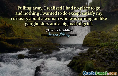 Pulling away, I realized I had no place to go and nothing I wanted to do except satisfy my curiosity about a woman who was coming on like gangbusters and a big load of grief.