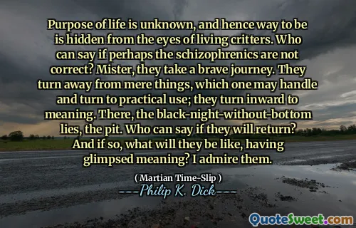 生命的目的是未知的，因此，生命的方式隐藏在生物小动物的眼中。谁能说，也许精神分裂症患者不正确？先生，他们走了一个勇敢的旅程。他们远离单纯的事物，人们可能会处理并转向实际用途；他们向内转向意义。在那里，黑夜没有底部，坑。谁能说他们是否会返回？如果是这样，他们会瞥见含义是什么样的？我钦佩他们。
