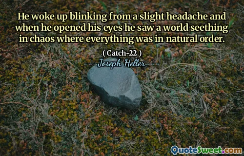 He woke up blinking from a slight headache and when he opened his eyes he saw a world seething in chaos where everything was in natural order.