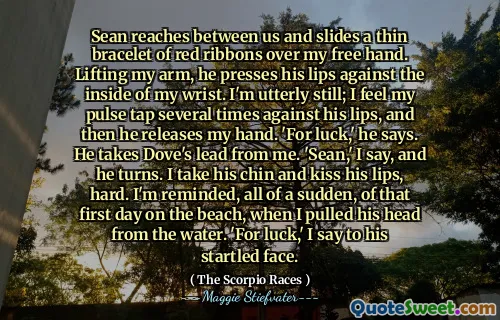 Sean reaches between us and slides a thin bracelet of red ribbons over my free hand. Lifting my arm, he presses his lips against the inside of my wrist. I'm utterly still; I feel my pulse tap several times against his lips, and then he releases my hand. 'For luck,' he says. He takes Dove's lead from me. 'Sean,' I say, and he turns. I take his chin and kiss his lips, hard. I'm reminded, all of a sudden, of that first day on the beach, when I pulled his head from the water. 'For luck,' I say to his startled face.