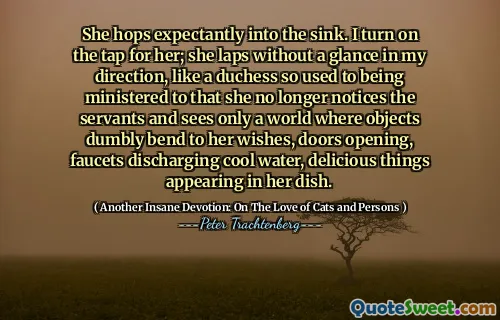 She hops expectantly into the sink. I turn on the tap for her; she laps without a glance in my direction, like a duchess so used to being ministered to that she no longer notices the servants and sees only a world where objects dumbly bend to her wishes, doors opening, faucets discharging cool water, delicious things appearing in her dish.