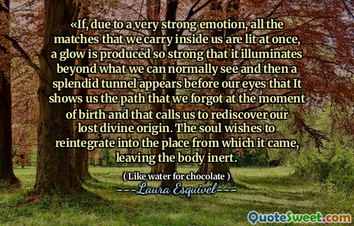 «If, due to a very strong emotion, all the matches that we carry inside us are lit at once, a glow is produced so strong that it illuminates beyond what we can normally see and then a splendid tunnel appears before our eyes that It shows us the path that we forgot at the moment of birth and that calls us to rediscover our lost divine origin. The soul wishes to reintegrate into the place from which it came, leaving the body inert.