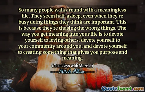 So many people walk around with a meaningless life. They seem half-asleep, even when they're busy doing things they think are important. This is because they're chasing the wrong things. The way you get meaning into your life is to devote yourself to loving others, devote yourself to your community around you, and devote yourself to creating something that gives you purpose and meaning.