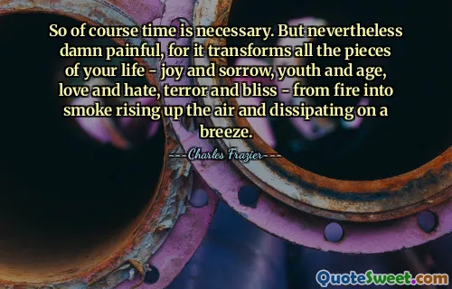 So of course time is necessary. But nevertheless damn painful, for it transforms all the pieces of your life - joy and sorrow, youth and age, love and hate, terror and bliss - from fire into smoke rising up the air and dissipating on a breeze.