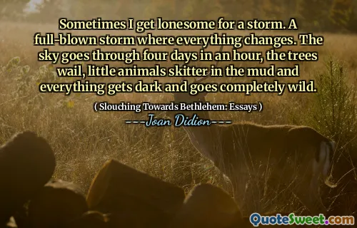 Sometimes I get lonesome for a storm. A full-blown storm where everything changes. The sky goes through four days in an hour, the trees wail, little animals skitter in the mud and everything gets dark and goes completely wild.