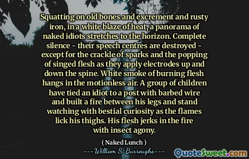 蹲在旧骨头，排泄物和生锈的铁上，在白色的热量中，一个裸体白痴的全景延伸到地平线上。完全的沉默 - 他们的语音中心被摧毁 - 除了火花的裂纹和在脊柱上下施加电极时，它们的crack啪作响。燃烧肉的白烟悬挂在一动不动的空气中。一群孩子将一个白痴绑在带铁丝网的柱子上，并在他的双腿之间燃烧着火，当火焰舔了舔大腿时，他的双腿之间的火焰和野蛮的好奇心站立。他的肉在大火中抽搐着昆虫痛苦。