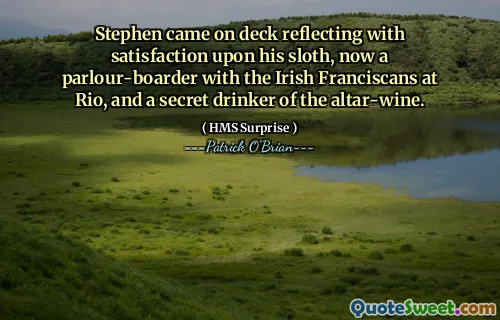 Stephen came on deck reflecting with satisfaction upon his sloth, now a parlour-boarder with the Irish Franciscans at Rio, and a secret drinker of the altar-wine.