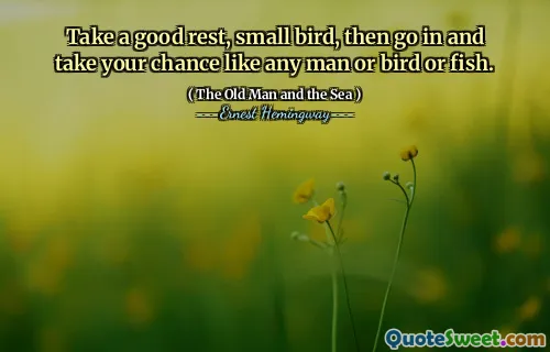 Take a good rest, small bird, then go in and take your chance like any man or bird or fish.