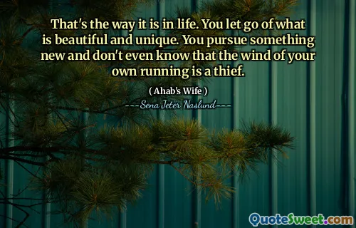 Так оно и есть в жизни. Вы отпустили то, что красиво и уникально. Вы преследуете что -то новое и даже не знаете, что ветер вашего собственного бега - это вор.
