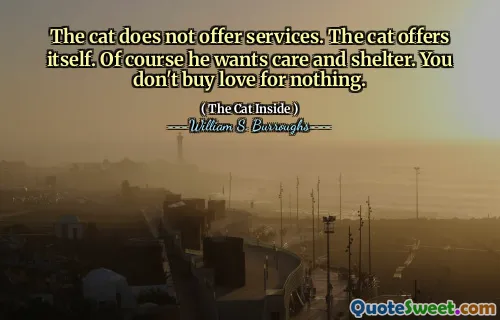 Katten erbjuder inte tjänster. Katten erbjuder sig själv. Naturligtvis vill han ha vård och skydd. Du köper inte kärlek för ingenting.