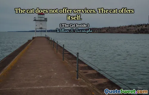 猫不提供服务。猫提供自己。
